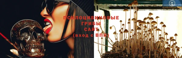 ГАЛЛЮЦИНОГЕННЫЕ ГРИБЫ Алзамай