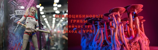 ГАЛЛЮЦИНОГЕННЫЕ ГРИБЫ Алзамай
